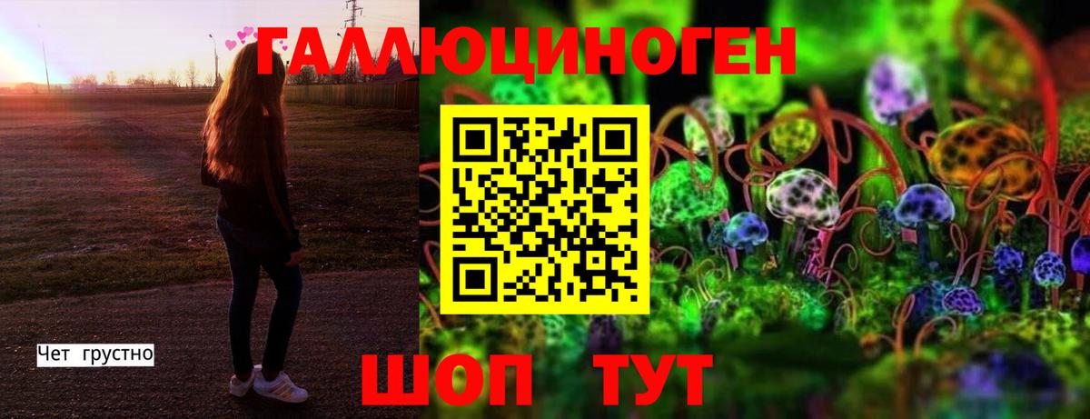 сколько стоит  Псилоцибиновые грибы MAGIC MUSHROOMS  Вход с VPN  Галлюциногенные грибы Cubensis  Кудымкар 