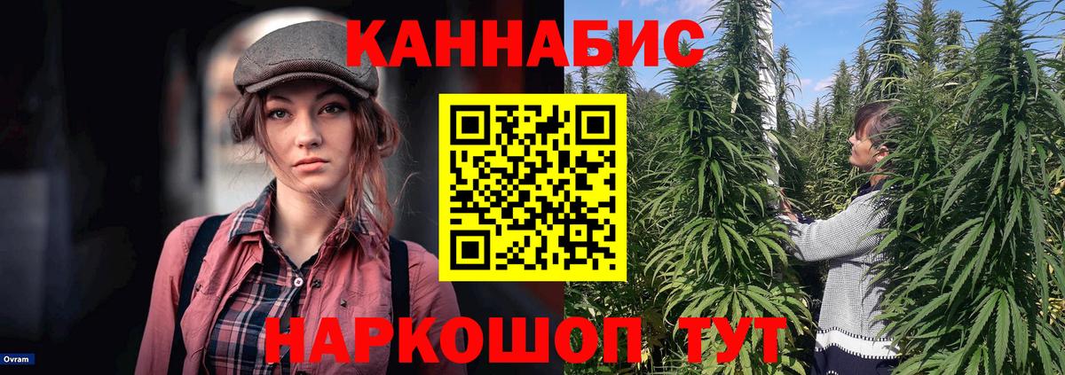 Каннабис семена  Канабис White Widow  Бошки марихуана Amnesia  Канабис план  Кудымкар  Вход с VPN 
